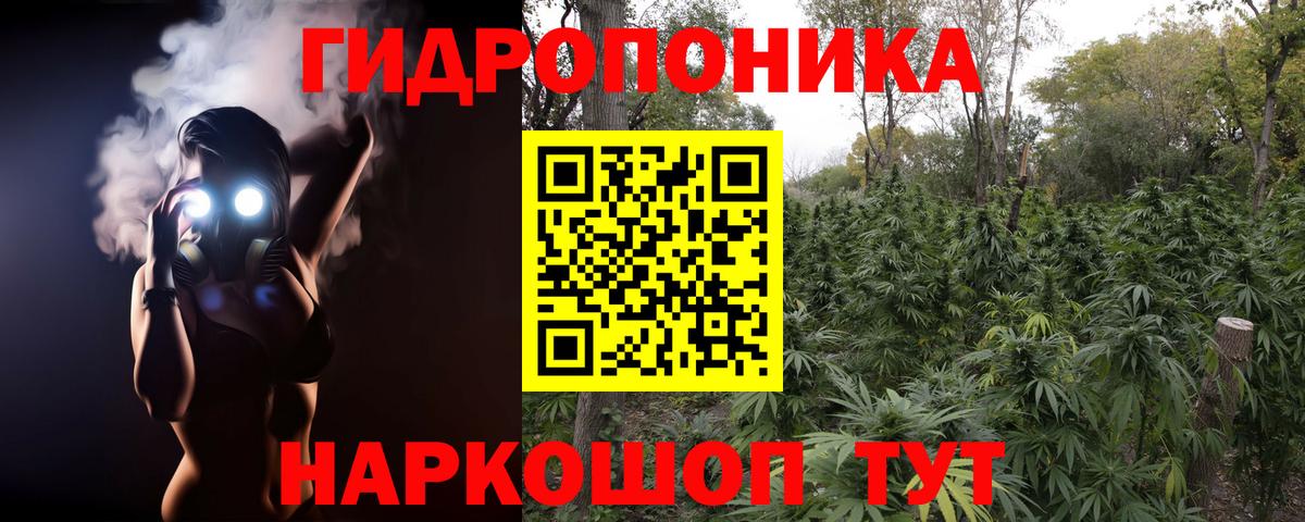 МАРИХУАНА сатива  Шишки марихуана сатива  Вход с VPN  Ессентуки 